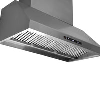 Coifa Evol Alpha para Churrasqueira Inox 125cm 2 Motores