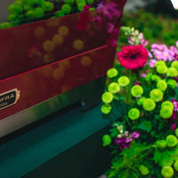 Fogão Lofra Dolcevita Vinho 90cm 5 Bocas Forno Elétrico 102 Litros de piso em vinho com acabamento brilhante, puxadores inox e design italiano